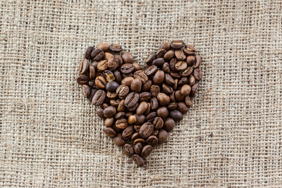 Cos’è la tracciabilità del caffè e perché è un valore per il tuo cliente