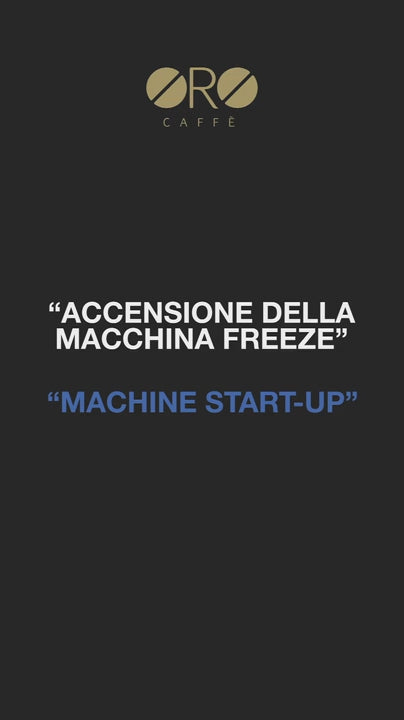 Cold Brew | FREEZE | Accensione spina